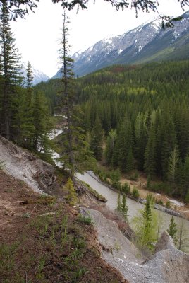 Spray River
