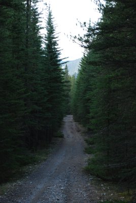Spray Valley trail, all to ourselves!