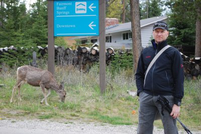 Deer Brian...