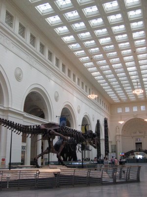 Sue the T-Rex, Field Museum