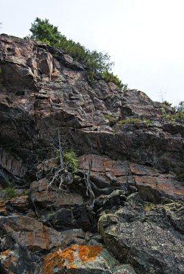 _IGP8739.jpg