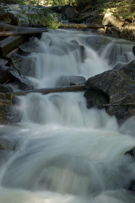 IMGP3296.jpg