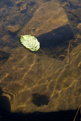 IMGP3475.jpg