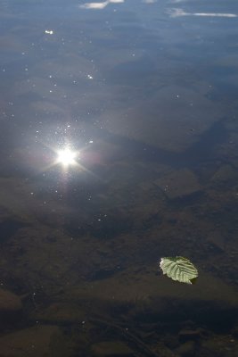 IMGP3478.jpg
