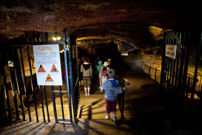 Gough's Cave Entrance