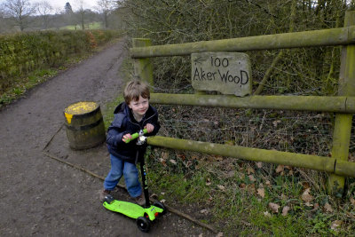 Aldenham Country Park