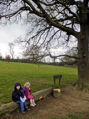 Aldenham Country Park