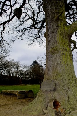 Aldenham Country Park