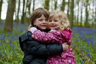 Ashridge Bluebells