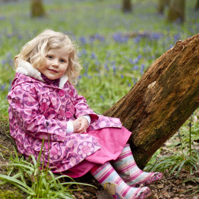 Ashridge Bluebells