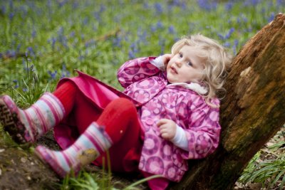 Ashridge Bluebells