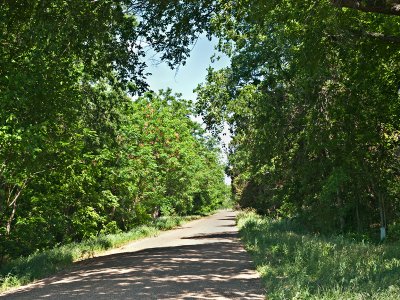 Oglesby-Neff Park Road, in the National Register of Historic Places
