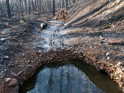 Examples of potentially  harmful erosion