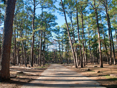 Campgrounds untouched by wildfire