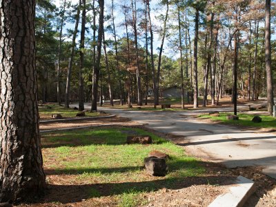 Coppers Creek Camping Area #4