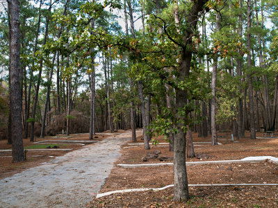Coppers Creek campsites