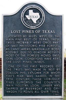 Lost Pines sign