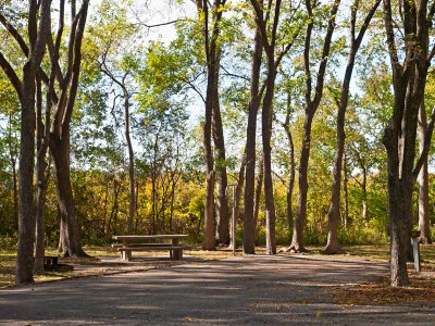 Campsite