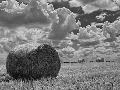 one bale revisited 6b.bw