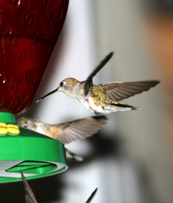 There are three set of wing here!!!! Sorry I cropped you