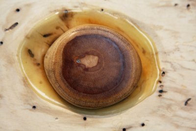 BrunExh111122-L009.jpg