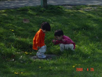 DSC07753.jpg