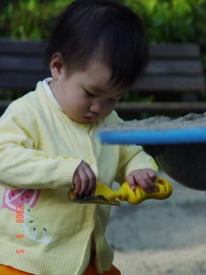 DSC07981.jpg