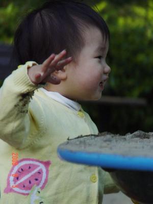 DSC07982.jpg