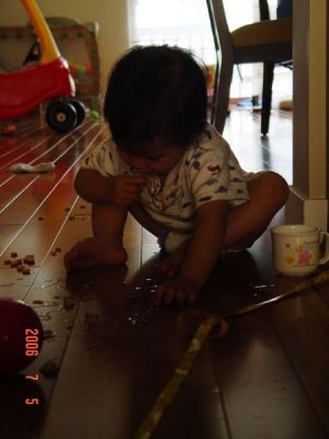 DSC08526.jpg