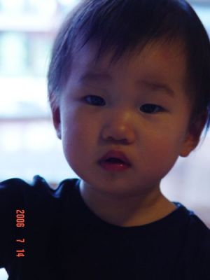 DSC08570.jpg