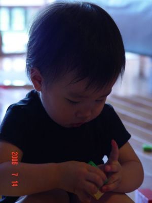 DSC08577.jpg