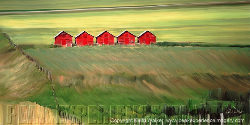 Five Red Barns I - 36x18.jpg
