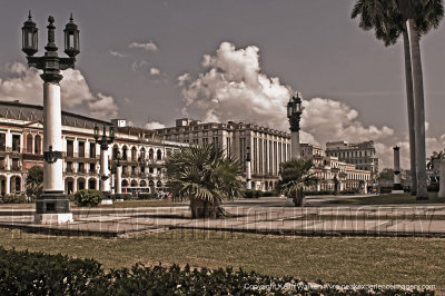 11-04-03-0379a.jpg