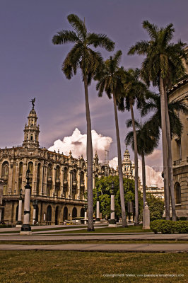 11-04-03-0390a.jpg