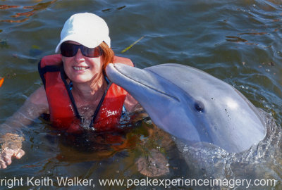 Sue and Dolphins.jpg