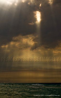 11-04-03-2288a.jpg