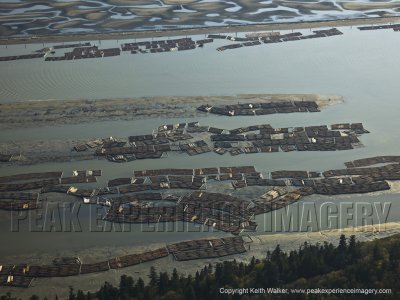 11-04-22 The Mud Flats of Southern Vancouver