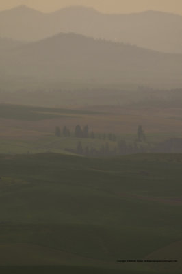 11-06-08-0029a.JPG