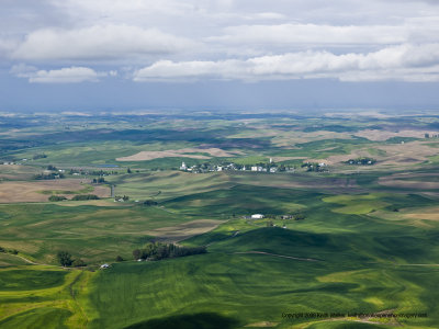 11-06-08H-190a.JPG