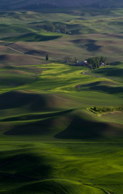 11-06-08-0683a.JPG