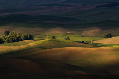 11-06-08-0863a.JPG