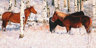 Aspen Hangout - 36x18.jpg