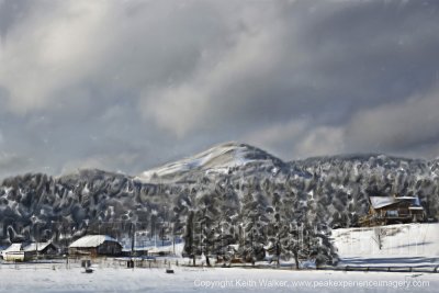 Bar C Ranch - 36x24.jpg