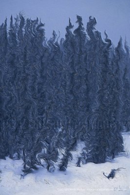 Bow River Forest Stand I - 32x48.jpg