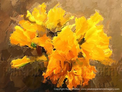 Daffodil Bouquet - 24x18.jpg