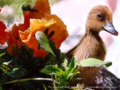 Everything's Ducky - 24x18.jpg