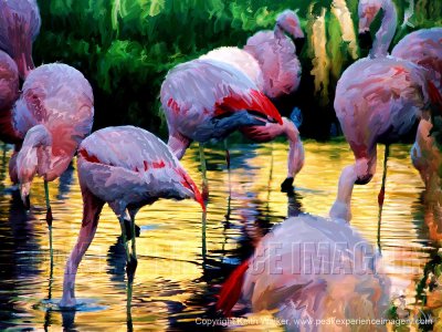 Flamingo Flock - 24x18.jpg