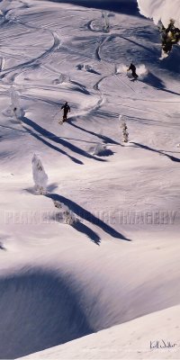 Follow the Leader - 18x36.jpg