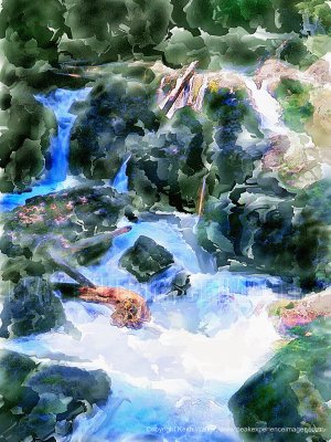 Forest Stream - 27x36.jpg