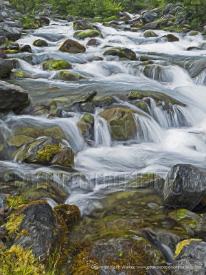 Garabaldi Creek I - 36x48.jpg